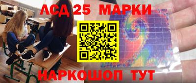 шишки Аргун