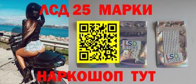 шишки Аргун