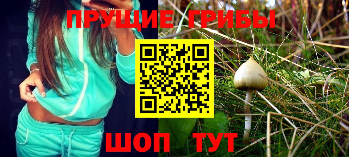 Псилоцибиновые грибы GOLDEN TEACHER Асино